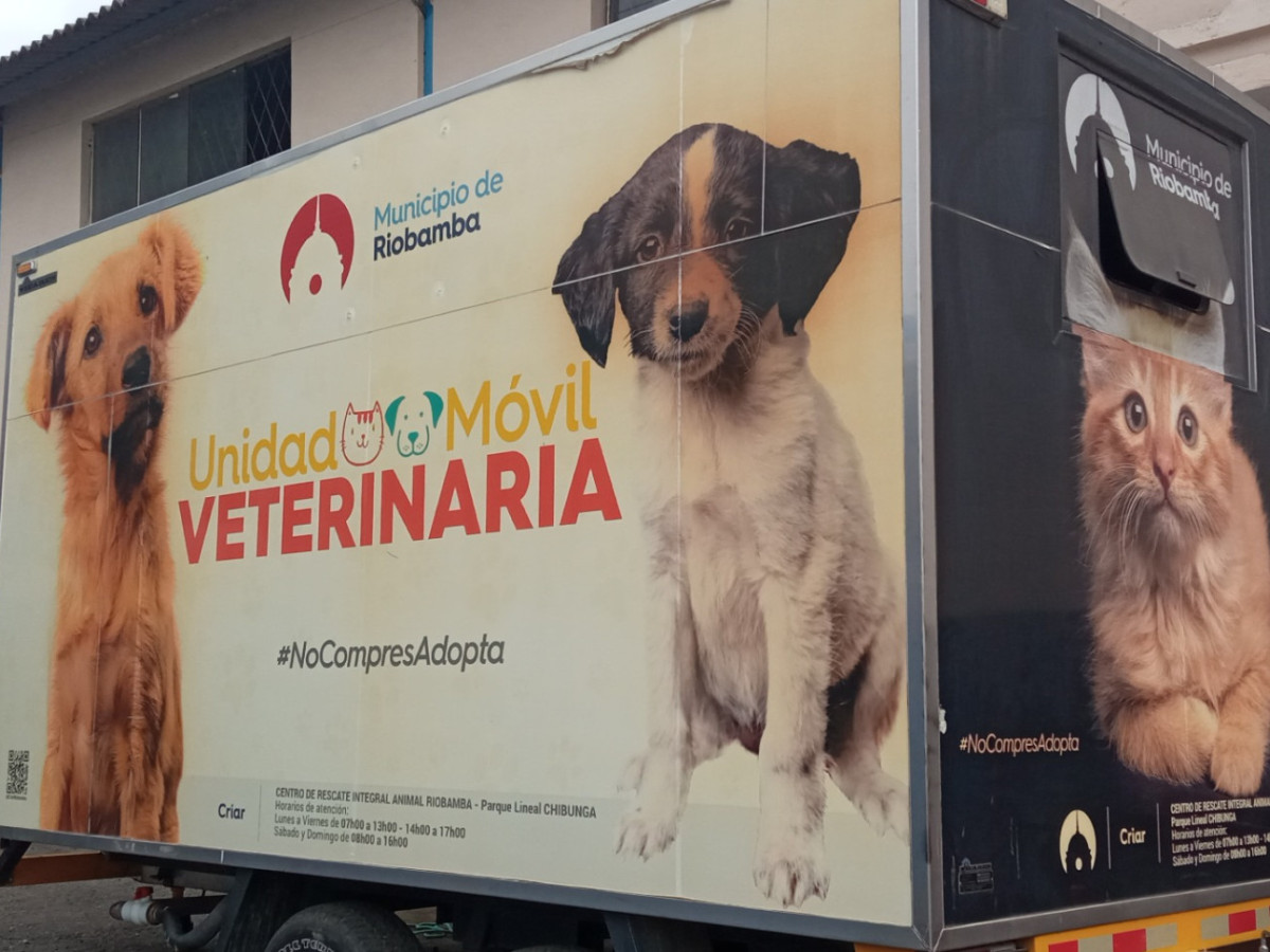 img 20240215 img 20240215