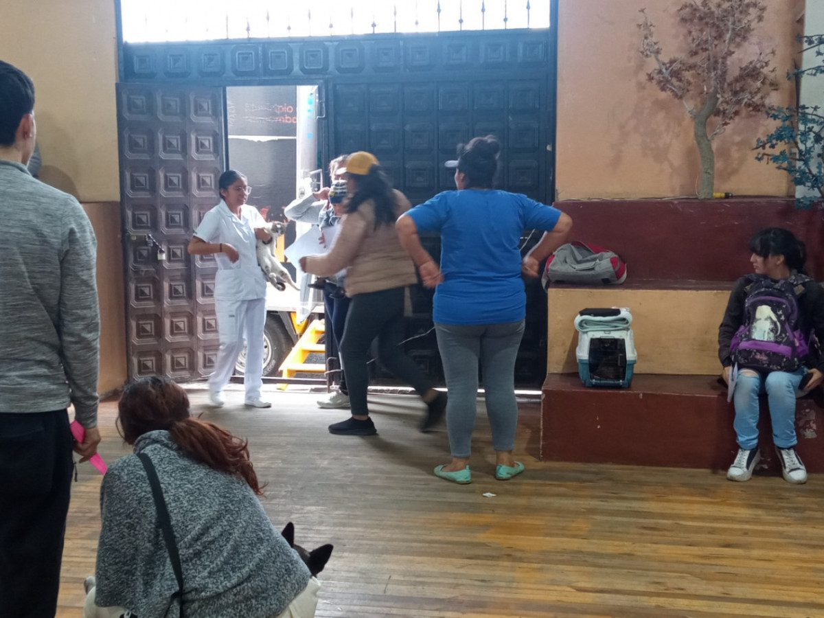 img 2024021500530 img 2024021500530