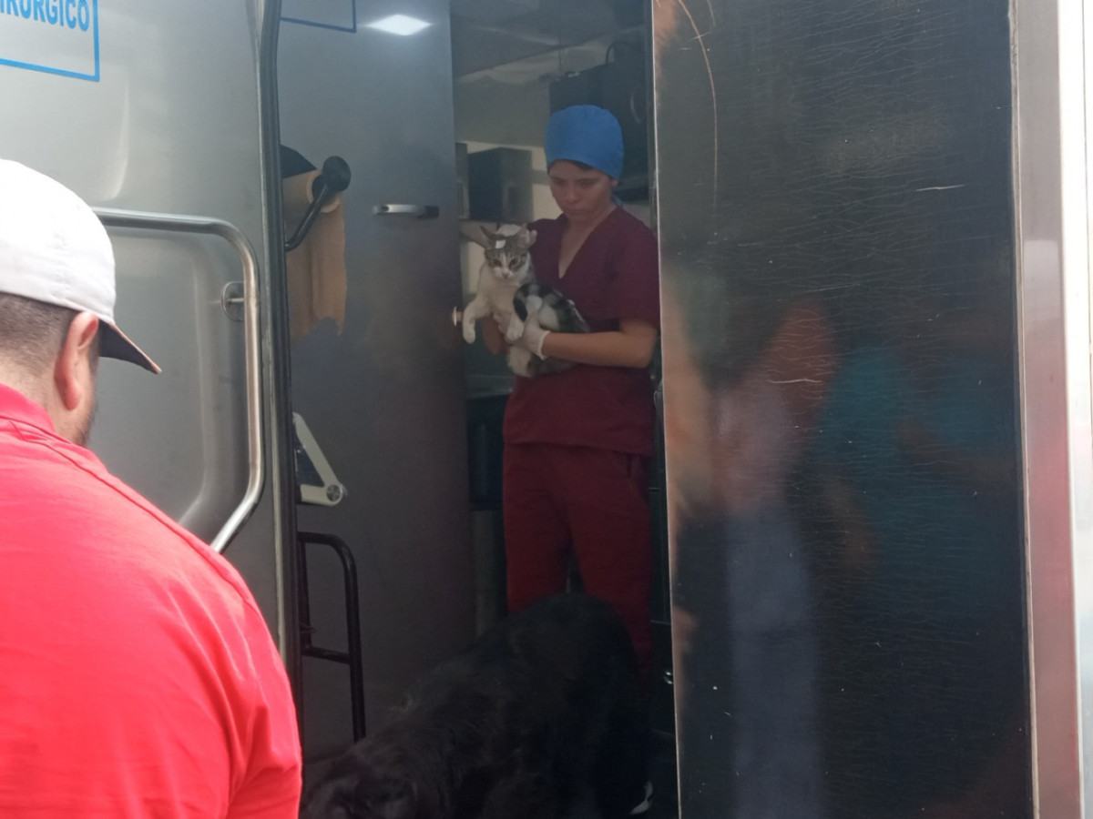 img 2024021500556 img 2024021500556