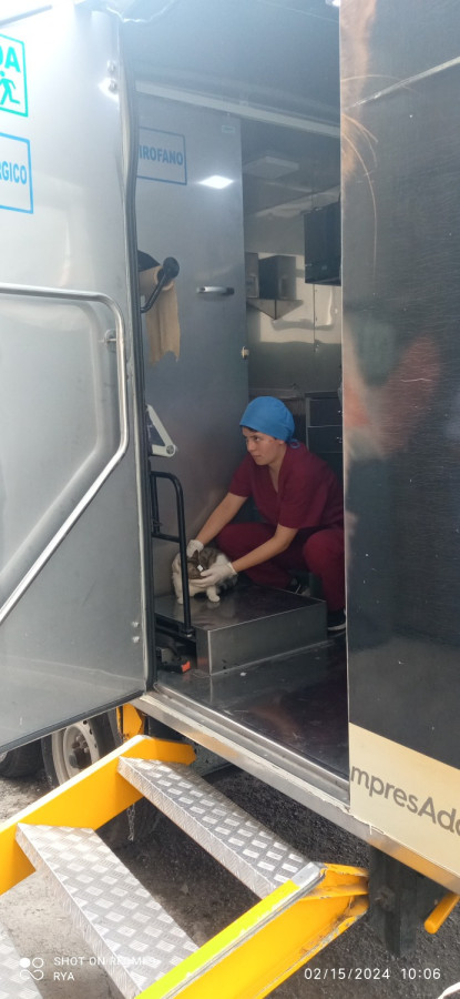 img 2024021500609 img 2024021500609