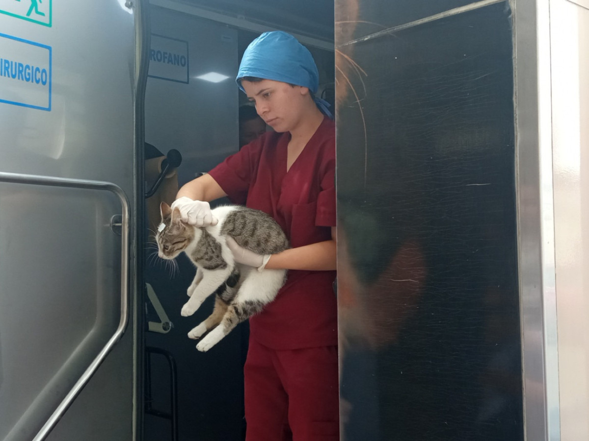 img 2024021500622 img 2024021500622